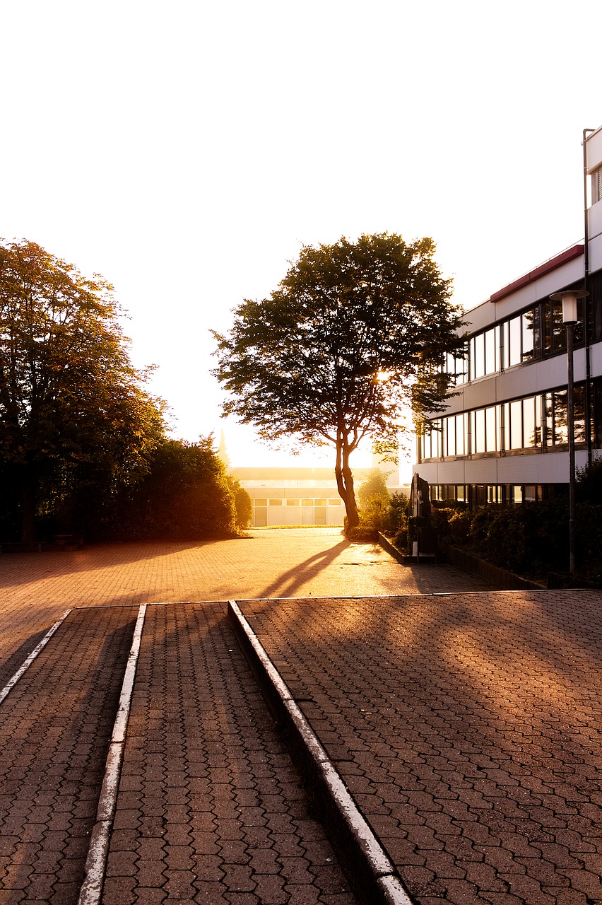 Image - sunrise school schoolyard tree