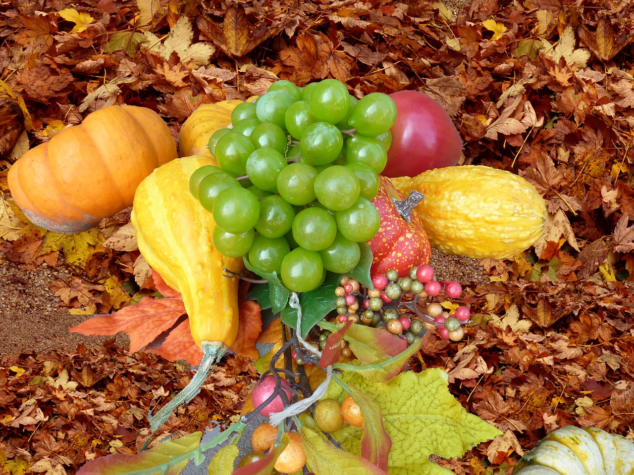 Image - boxer shorts herbstdeko leaves