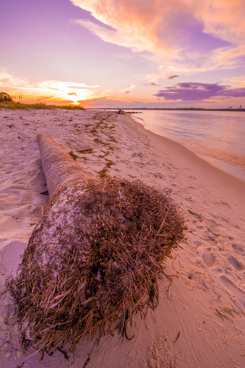 Image - beach gulf coast florida sunset