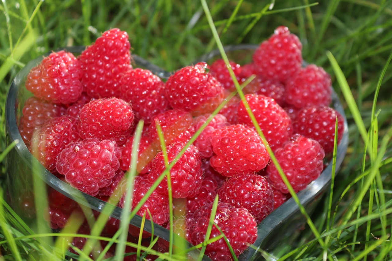 Image - raspberries fruit fruits berries