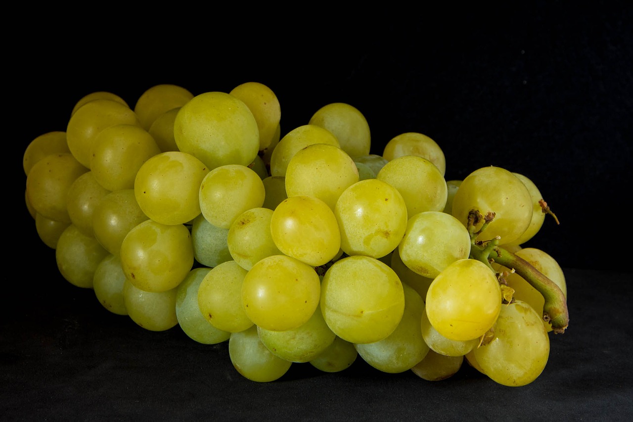 Image - grape fruit vine cluster nature