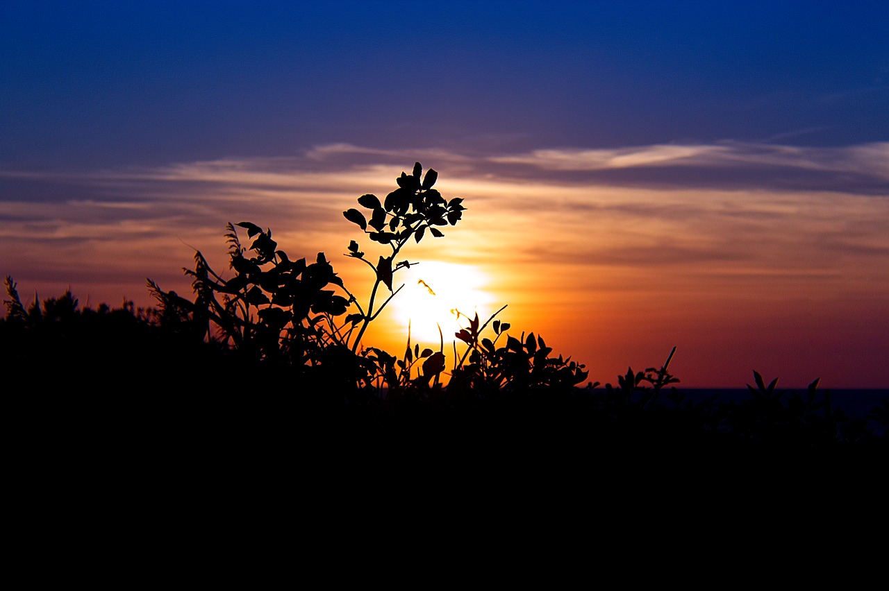 Image - sun setting silhouette shadow