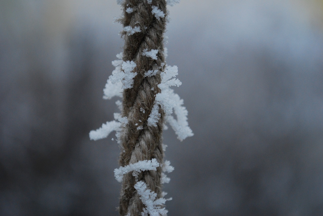 Image - winter frost icing rope cold