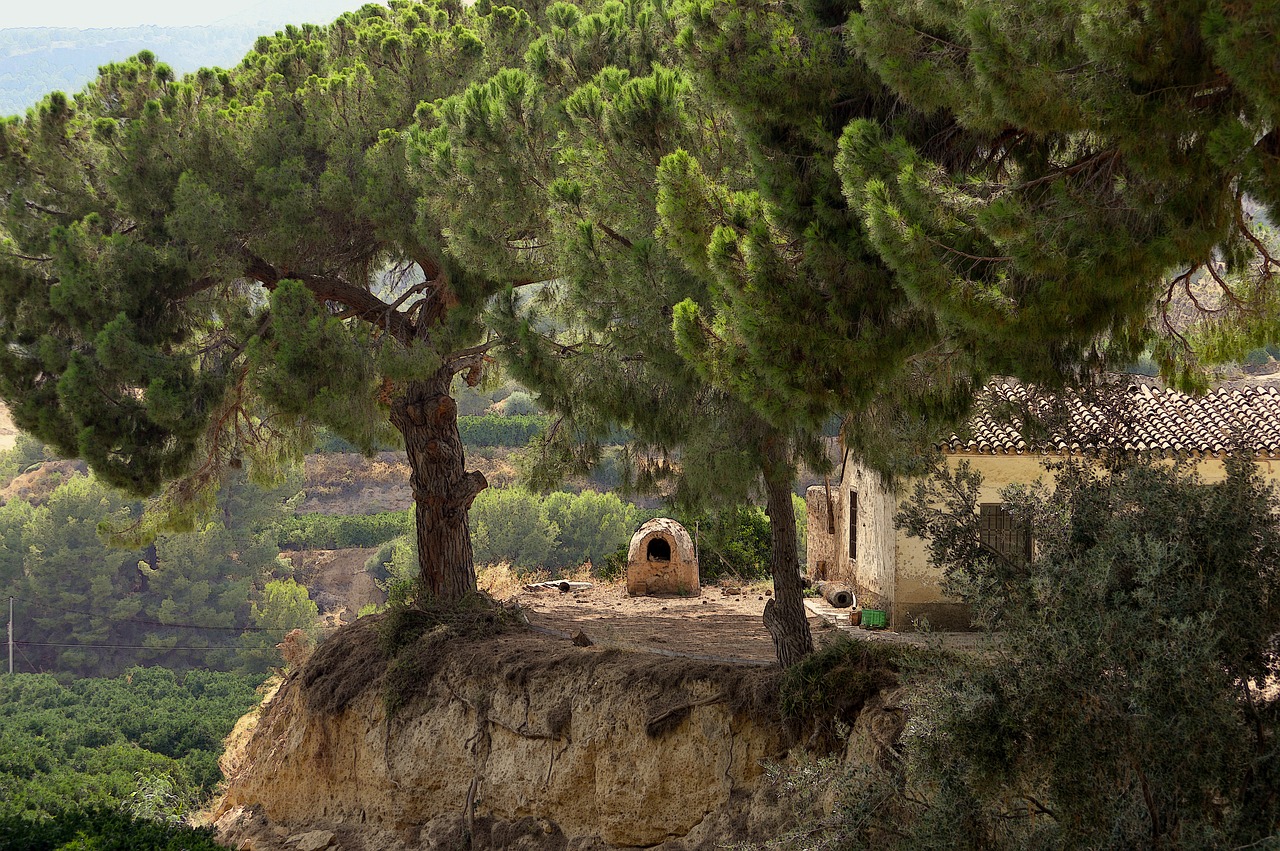 Image - pine a wood burning oven oven rustic