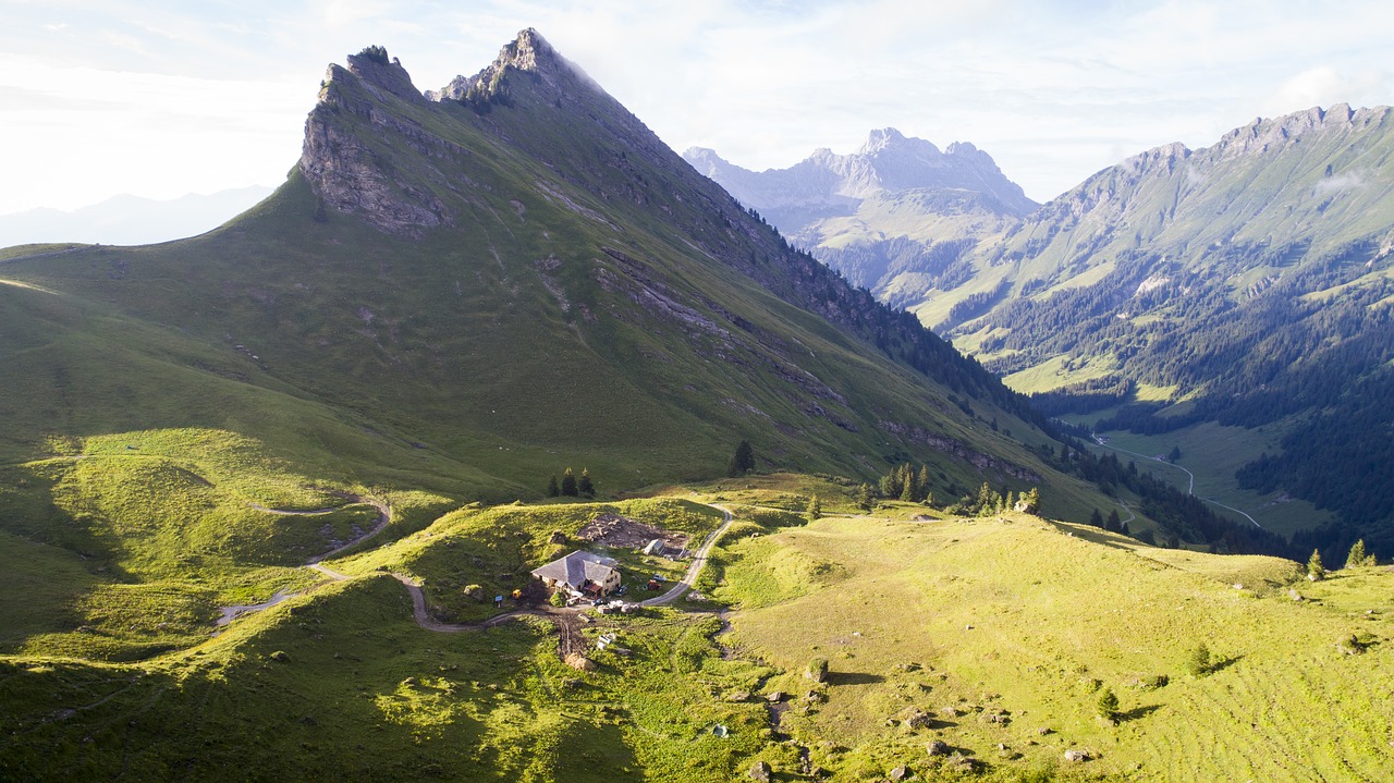 Image - meadow mountain nature alps