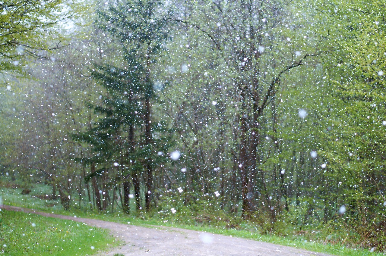 Image - rain weather badly background snow