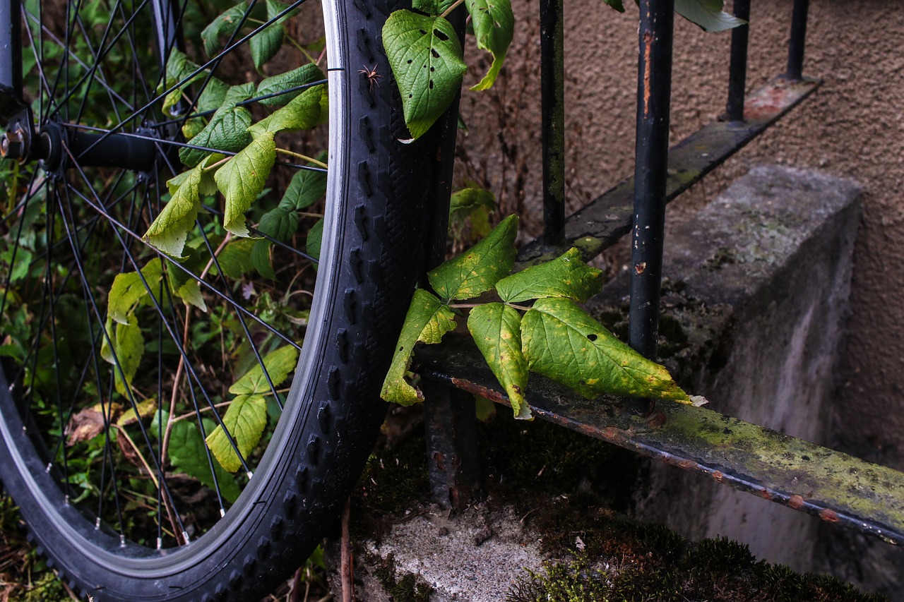 Image - wheel bike bicycle leaf autumn