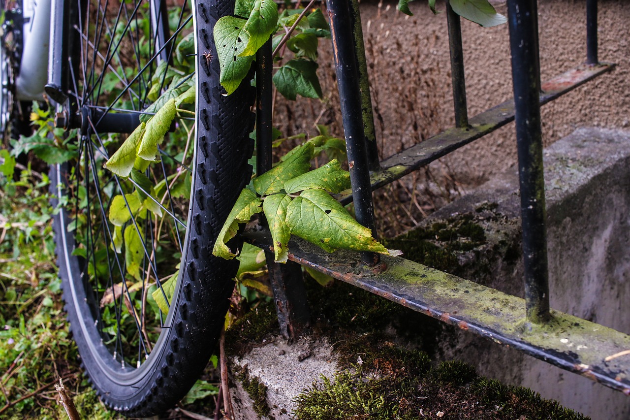 Image - wheel bike bicycle leaf autumn