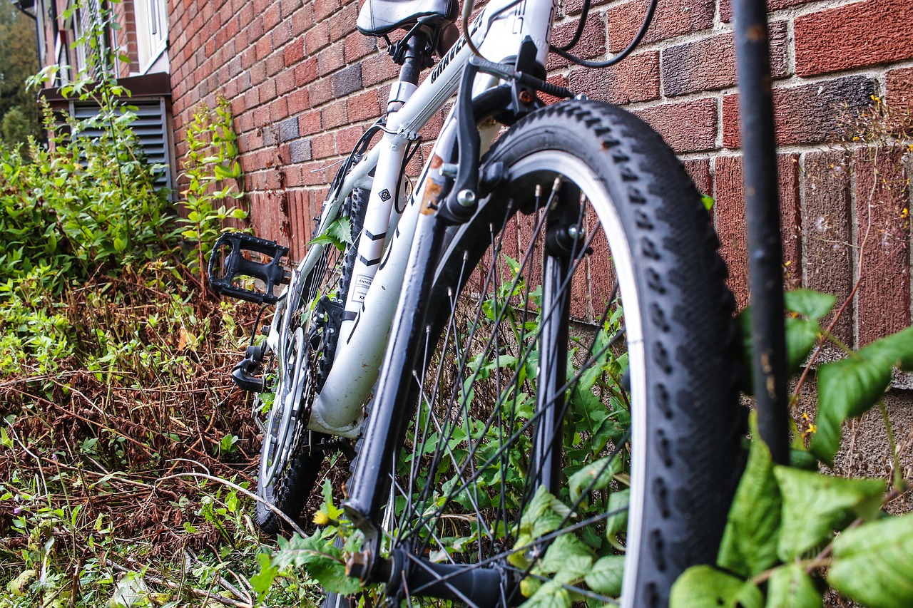 Image - bike bicycle leaf autumn