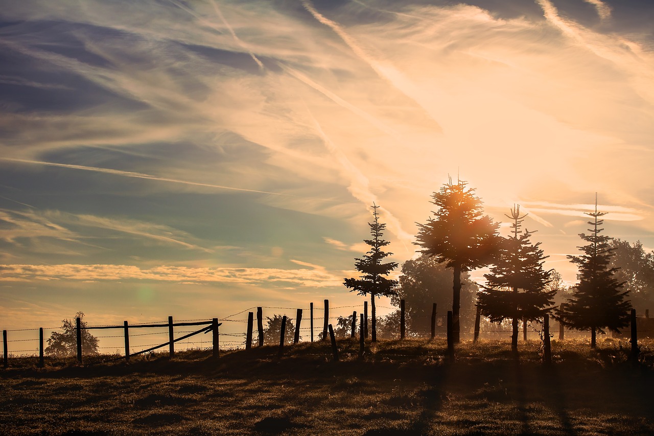Image - sunrise morning light morning