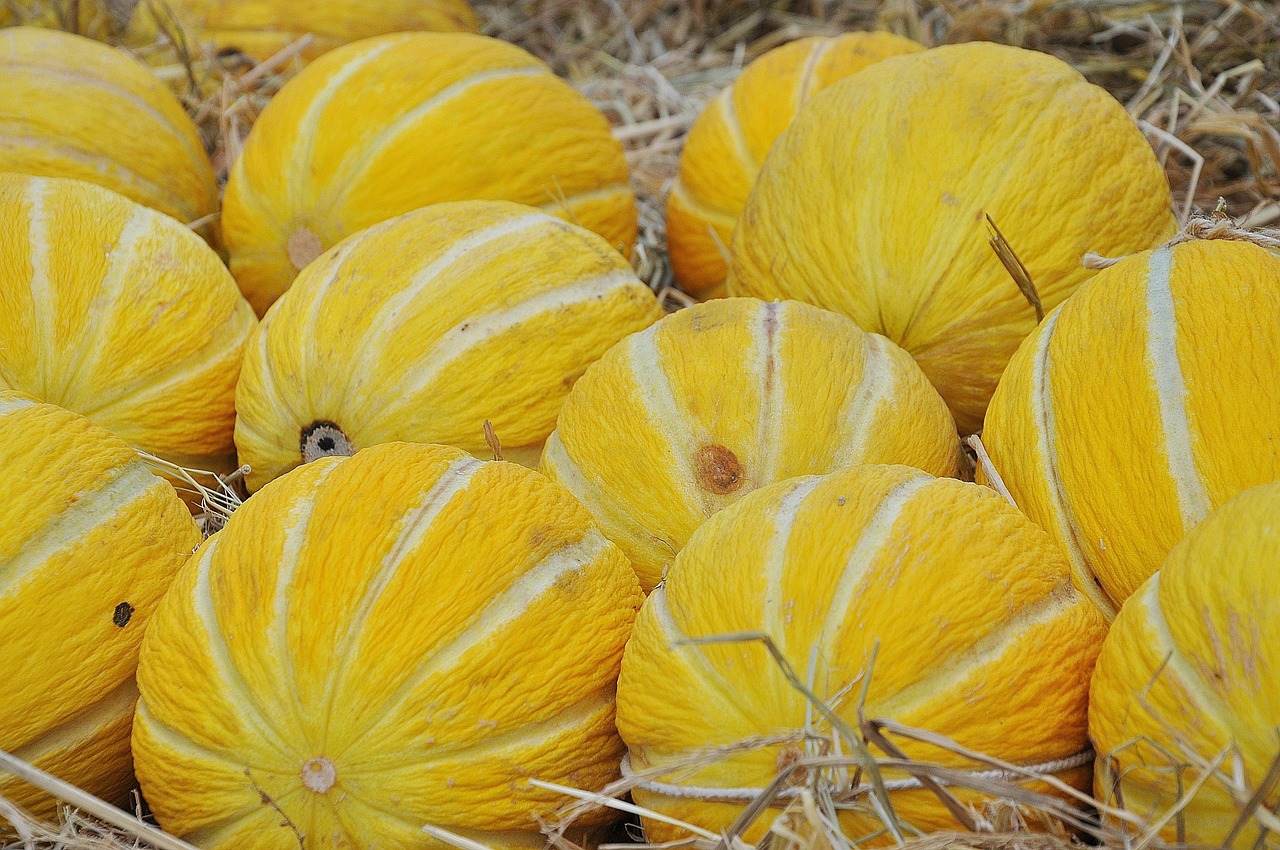 Image - background food fresh fruit