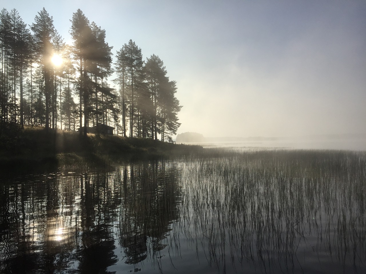 Image - morning fog mist island lake