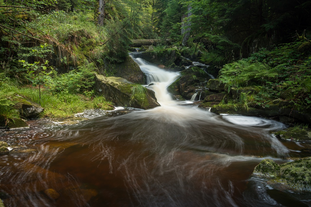 Image - waterfall long exposure bach forest