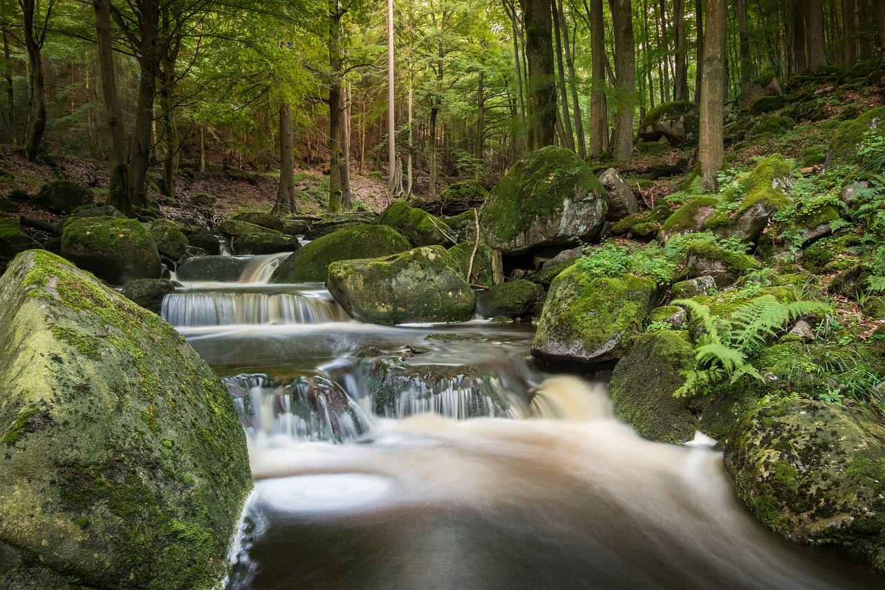 Image - waterfall long exposure bach forest