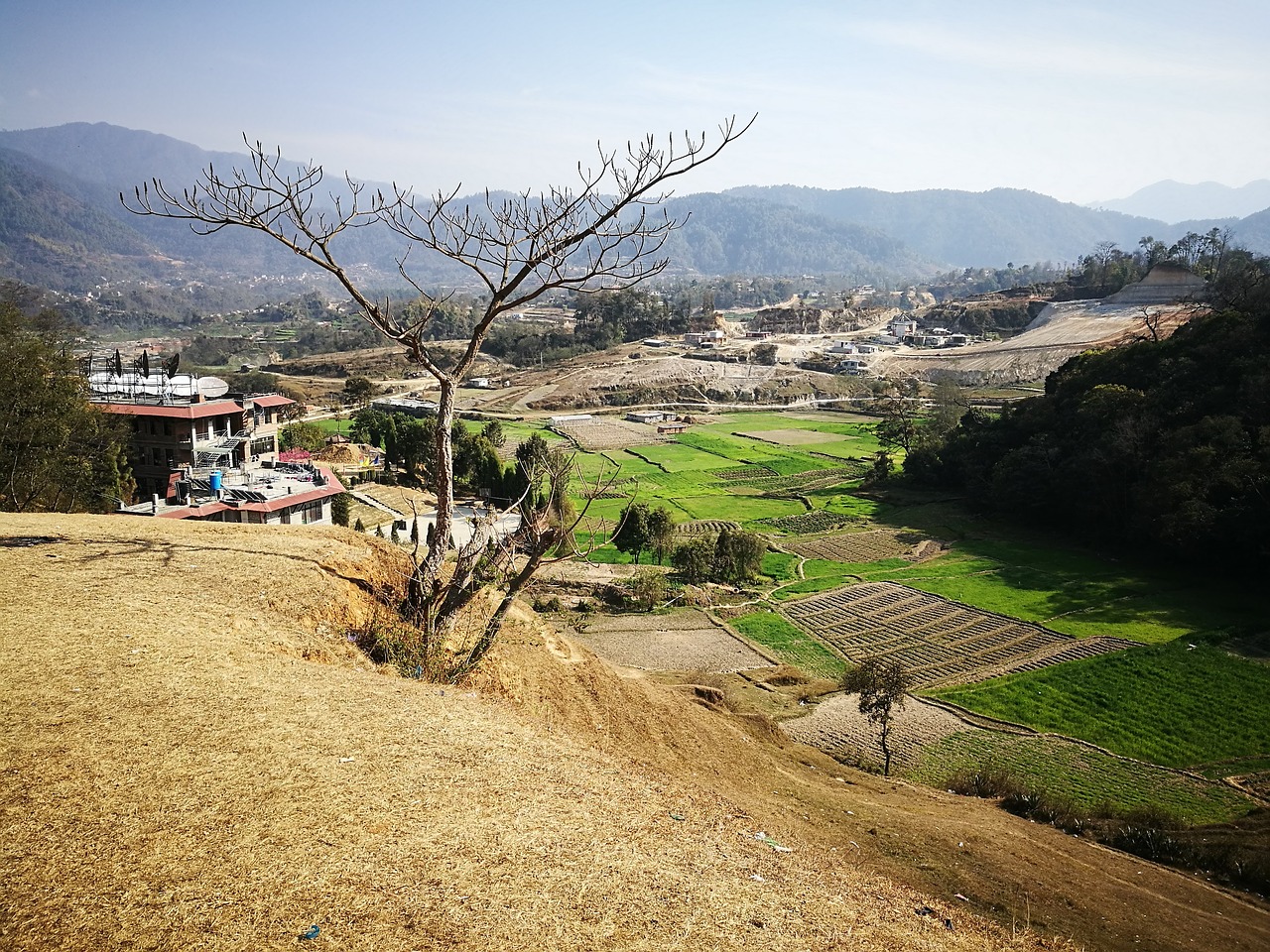 Image - sunny day ground