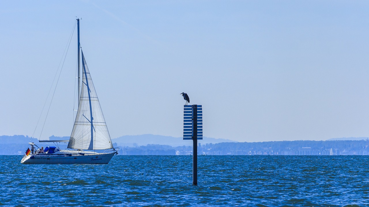 Image - lake constance gulls on the water