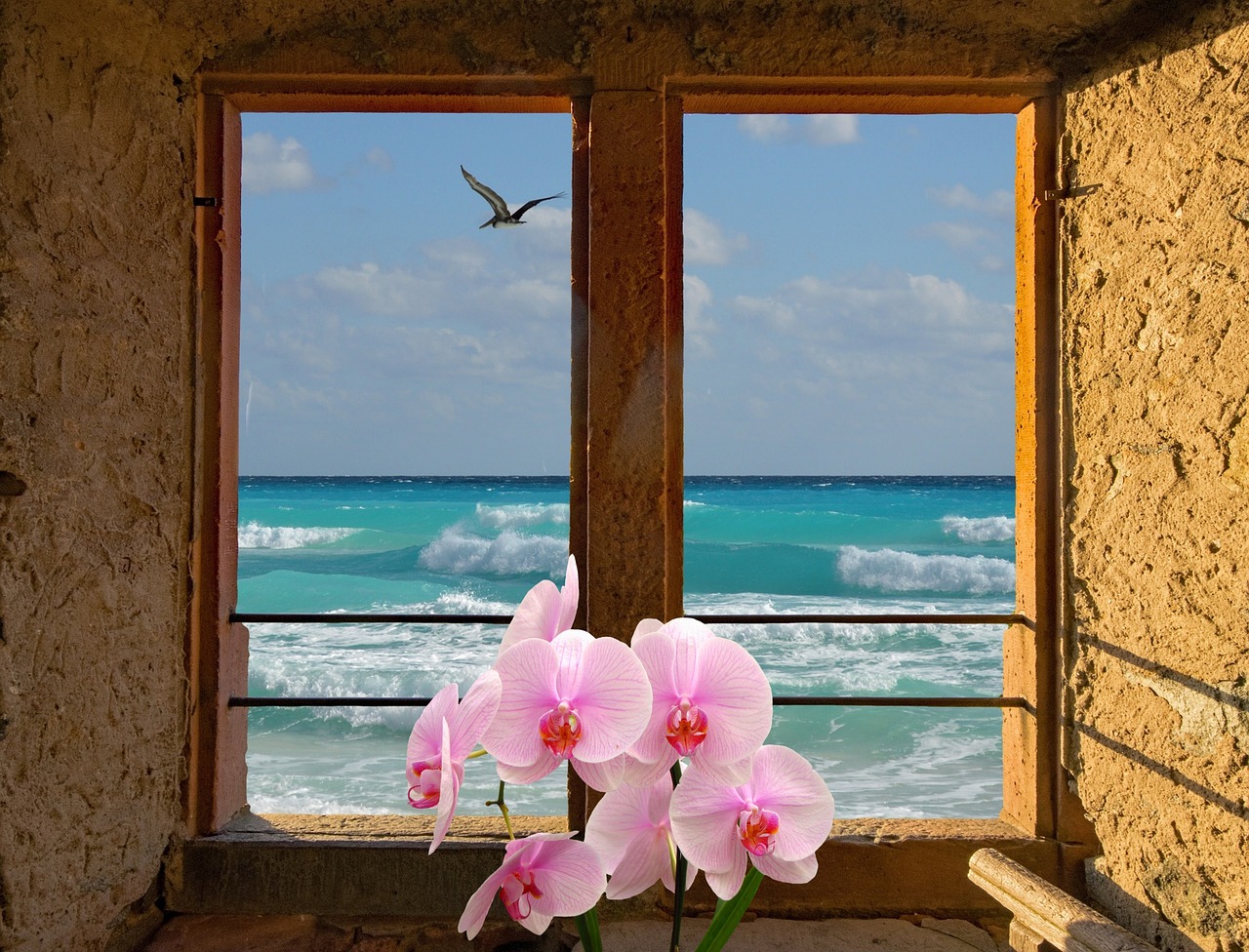 Image - landscape window lake sea nature