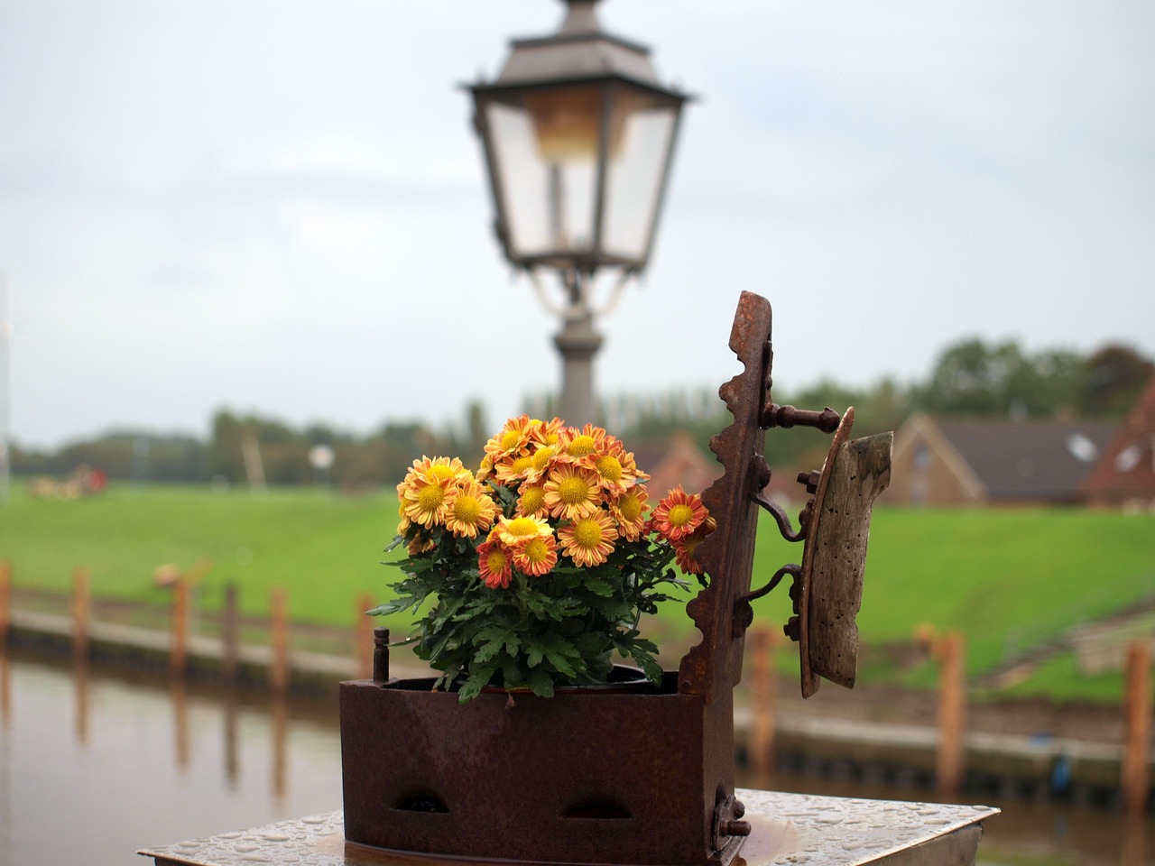 Image - flower deco greetsiel yellow