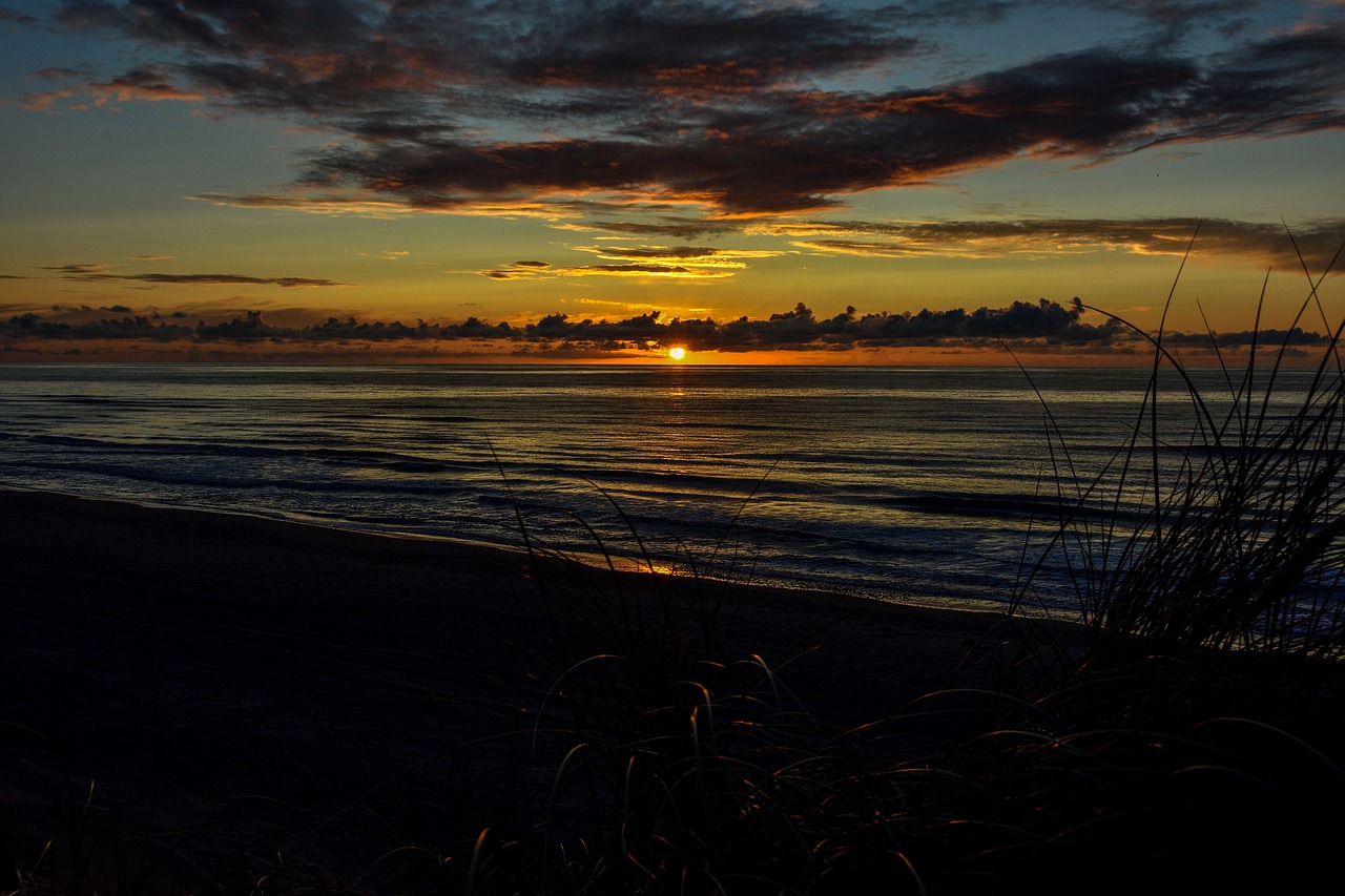 Image - sun north sea beach dune holiday