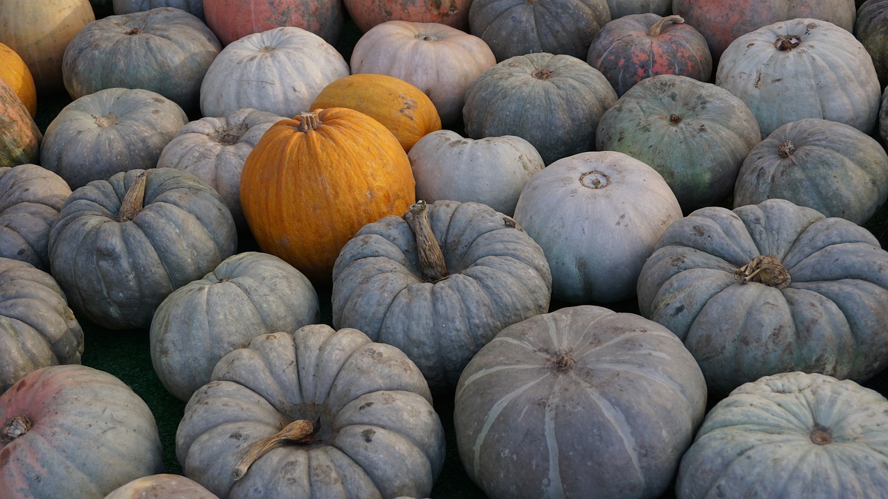 Image - pumpkin fall autumn orange