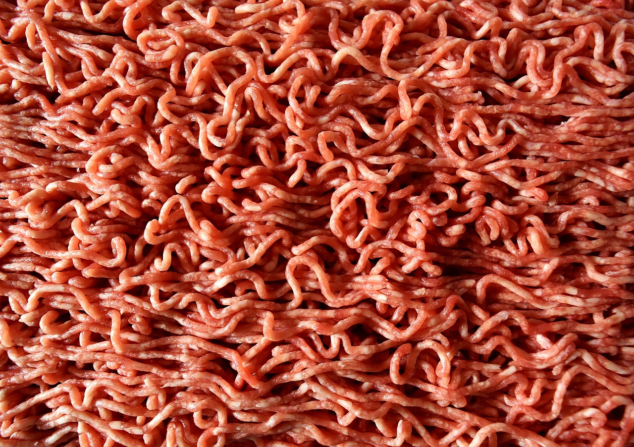 Image - minced meat raw eat meat