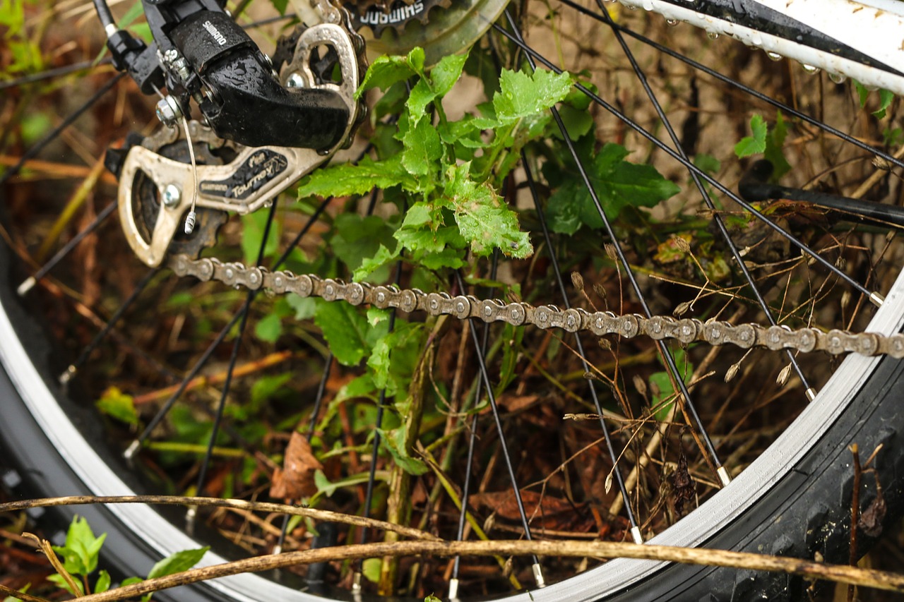 Image - wheel bicycle bike growth