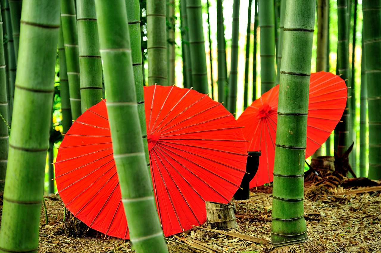 Image - kyoto kodai ji temple bamboo