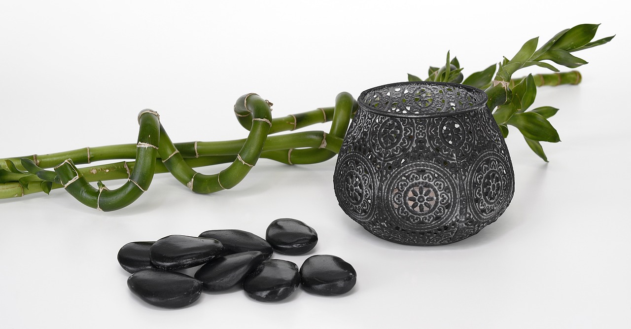 Image - stones black bamboo luck bamboo
