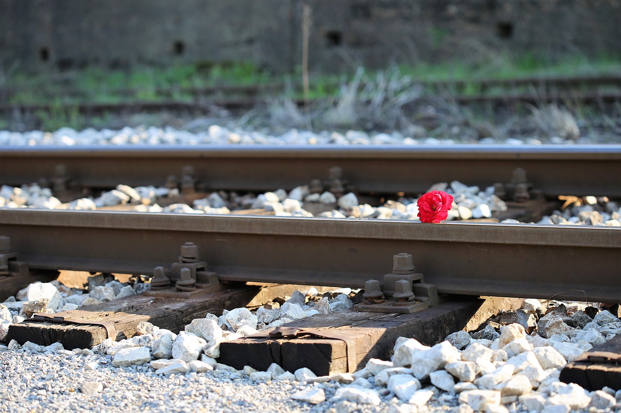 Image - red rose on railway accident tragedy