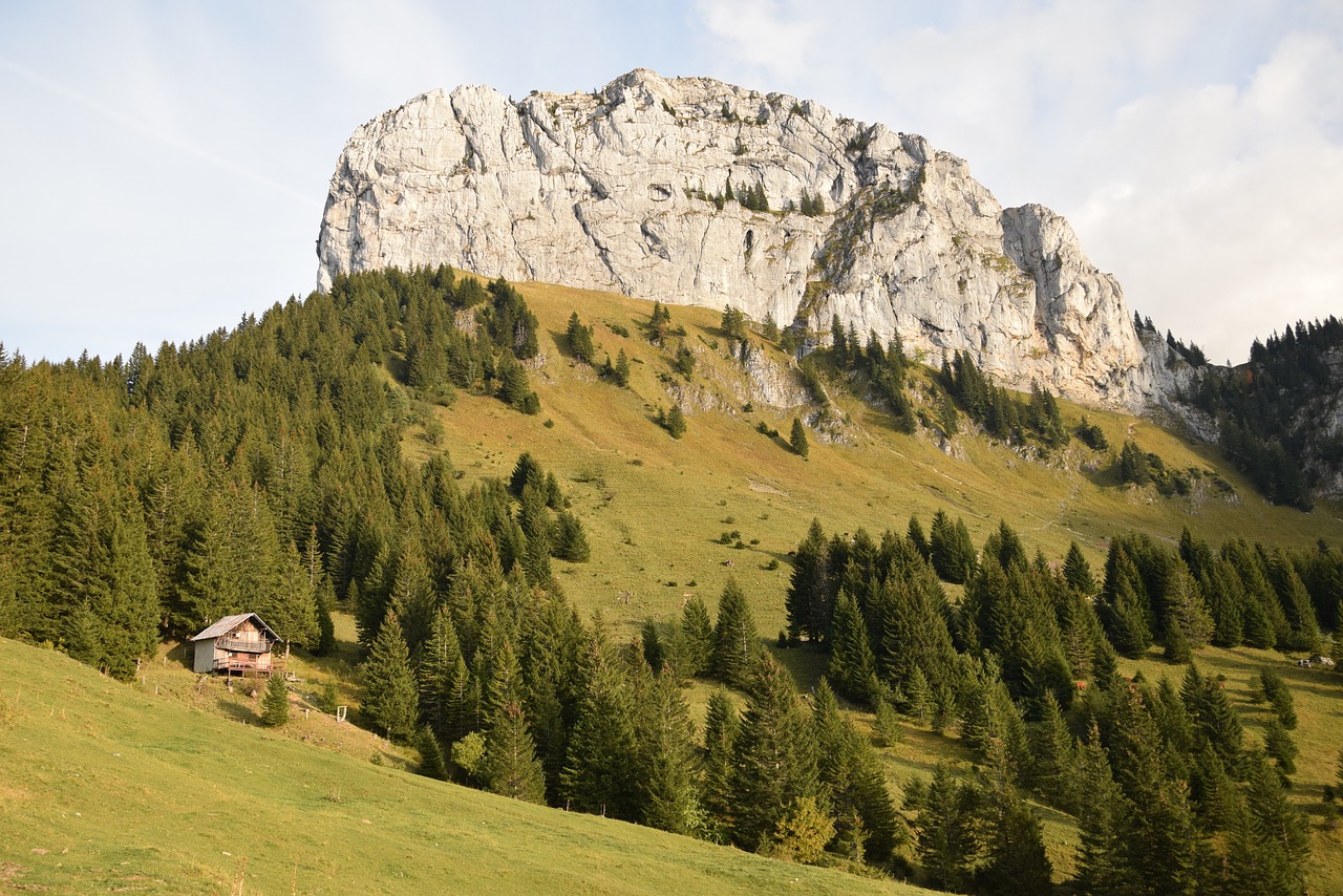 Image - chalet mountain meadow alps