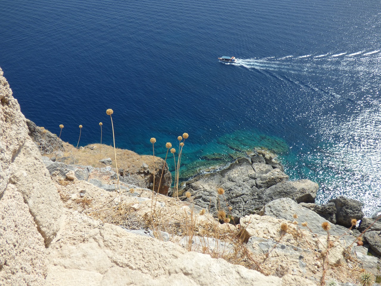 Image - rhodes reef sea holiday plants