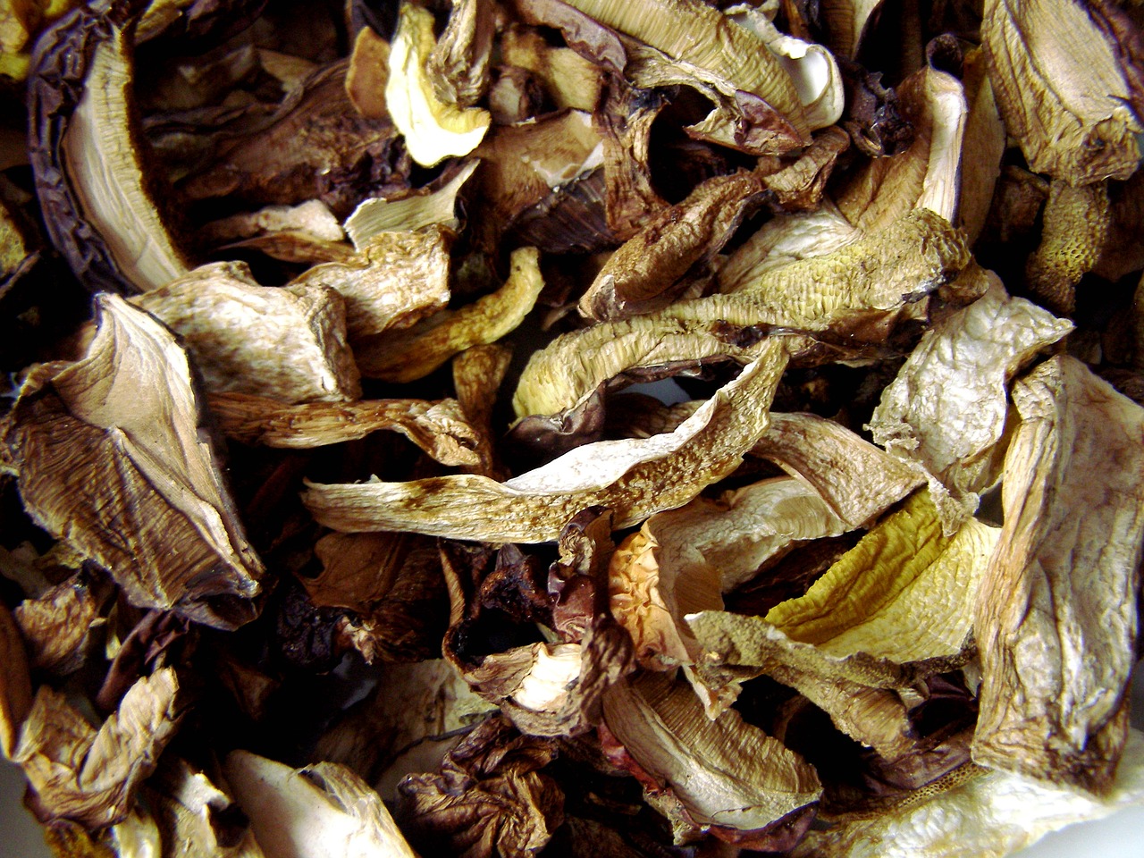 Image - mushrooms dried drying kitchen dry