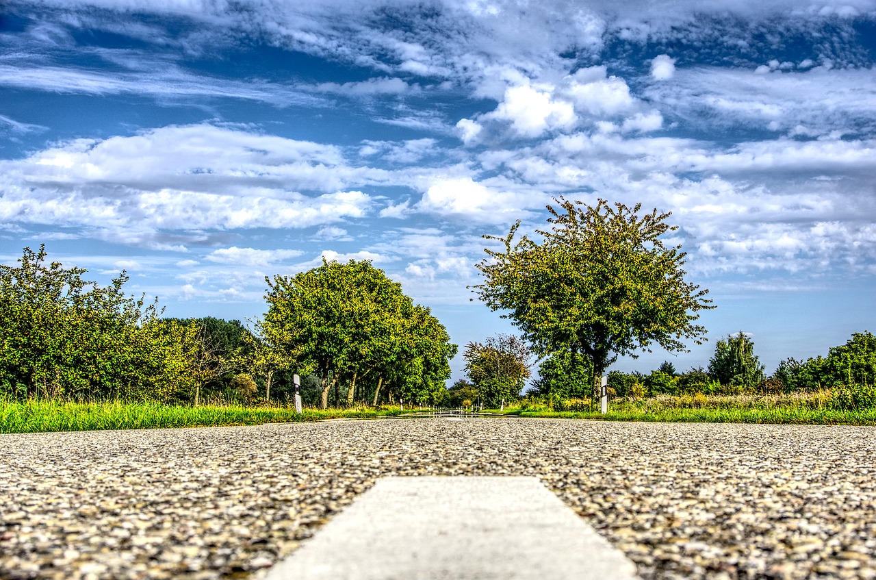 Image - road asphalt landscape trees