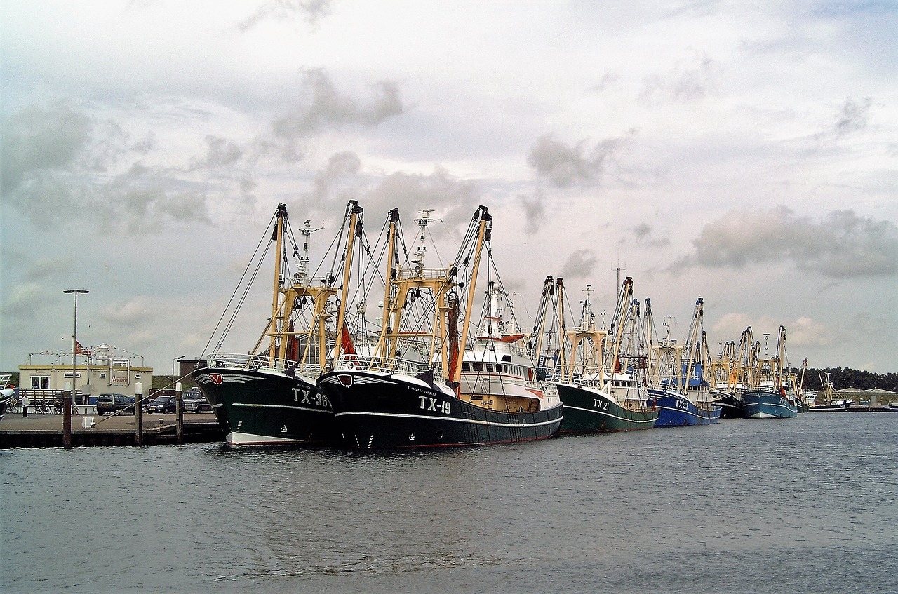 Image - transport fisheries fishing boats