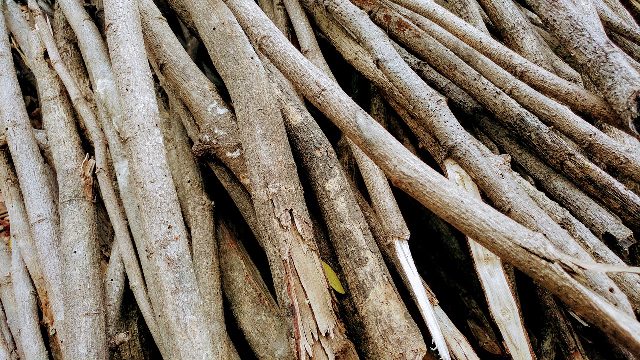 Image - logs firewood cord wood timber