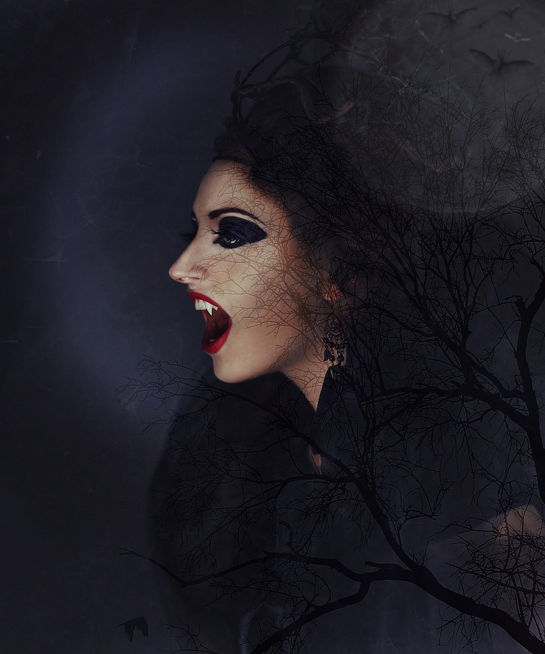 Image - vampire vampire woman vampire lady