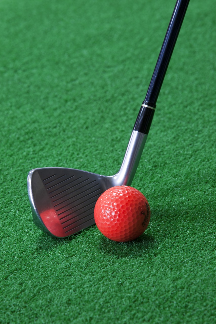 Image - golf golf balls ball exercise