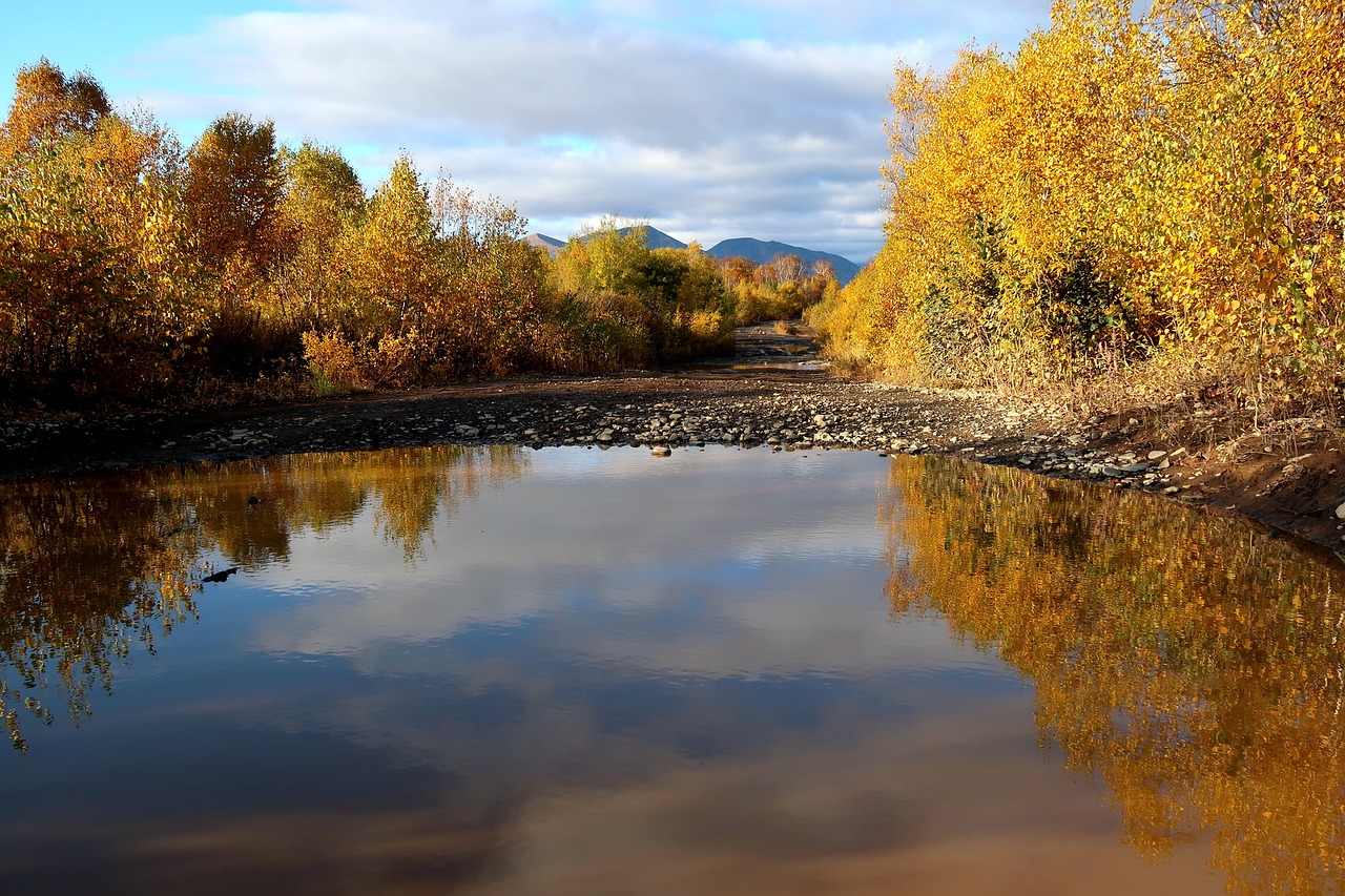 Image - autumn road puddles forest