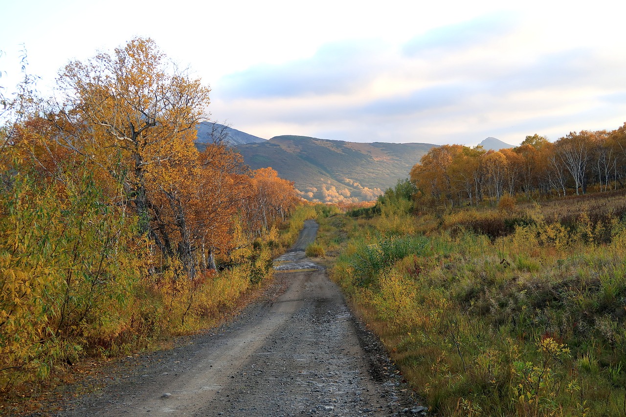 Image - autumn mountains forest road