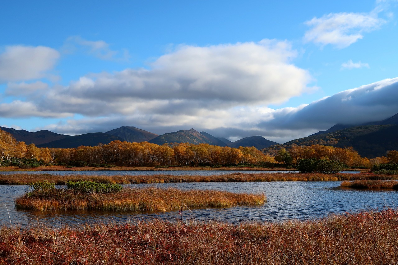 Image - autumn lake forest tundra swamp