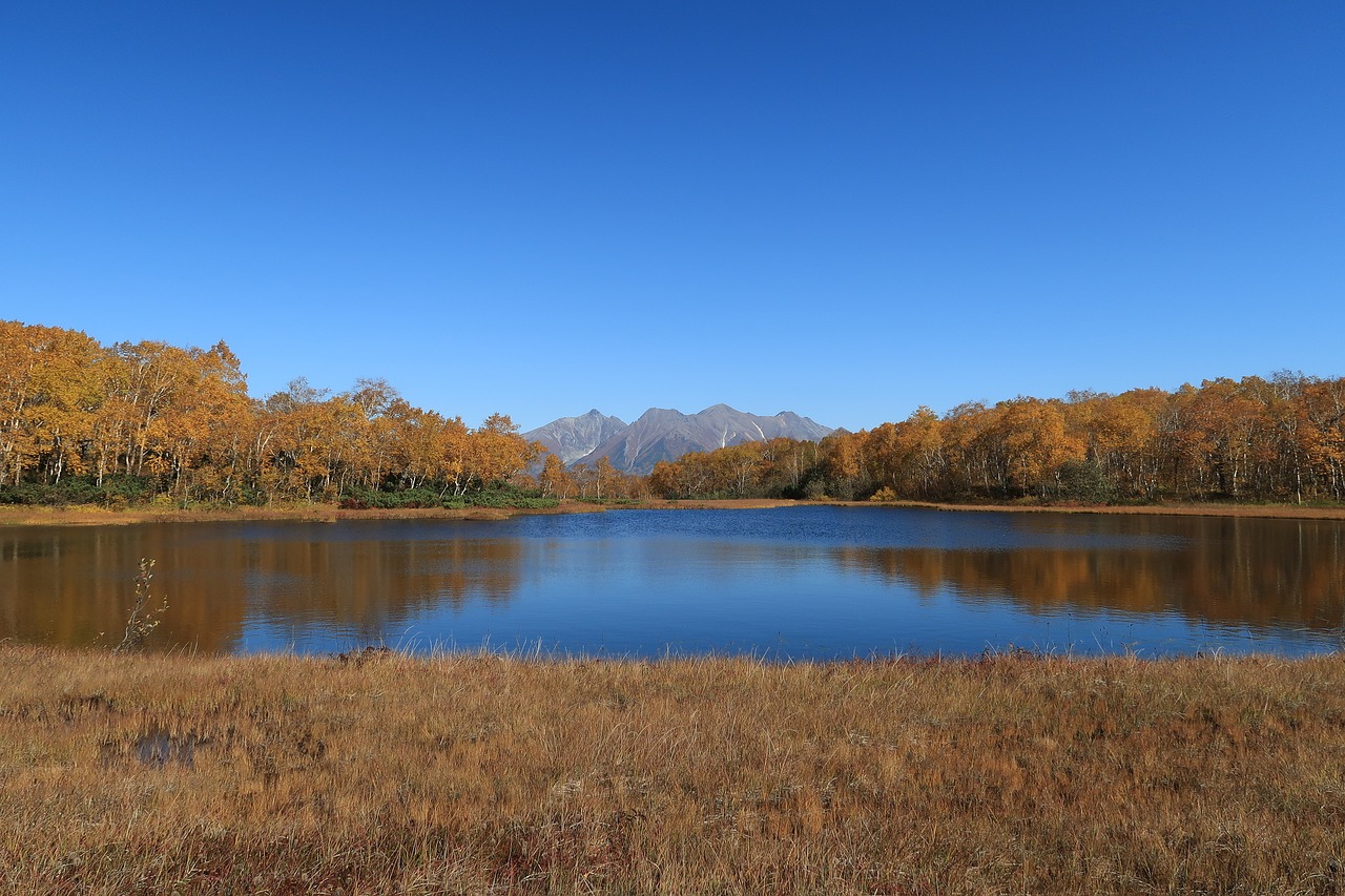 Image - autumn lake forest tundra swamp