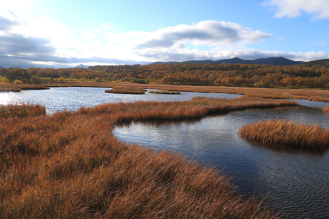 Image - autumn lake forest tundra swamp