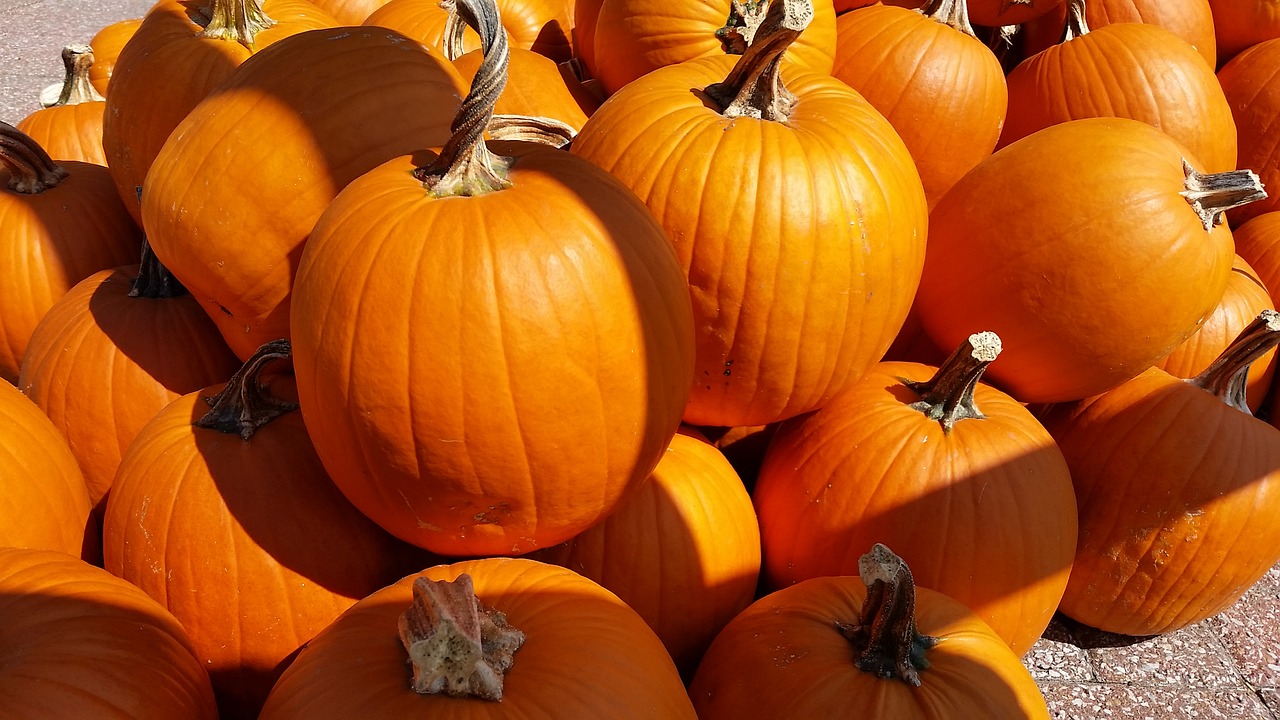 Image - pumpkins fall autumn orange