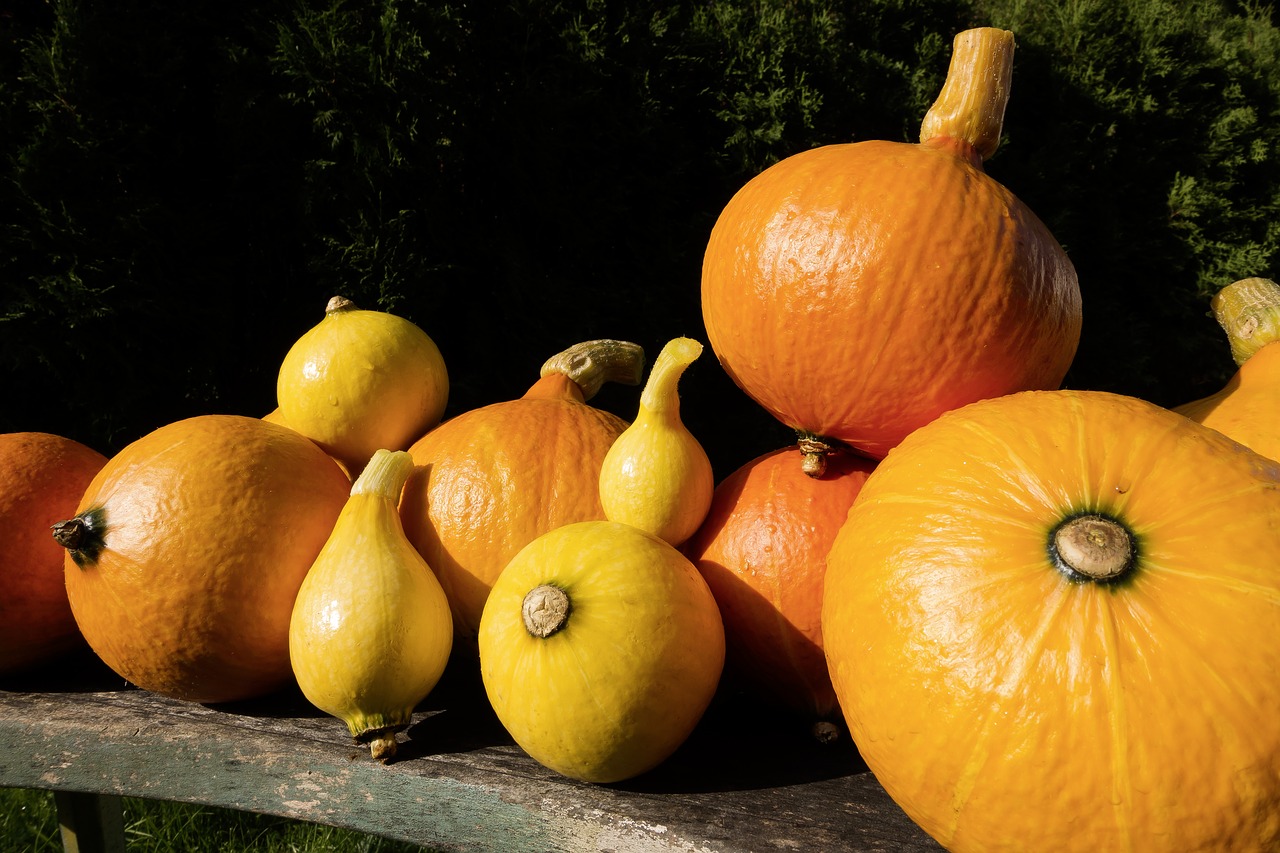 Image - pumpkin hokkaido vegetables garden