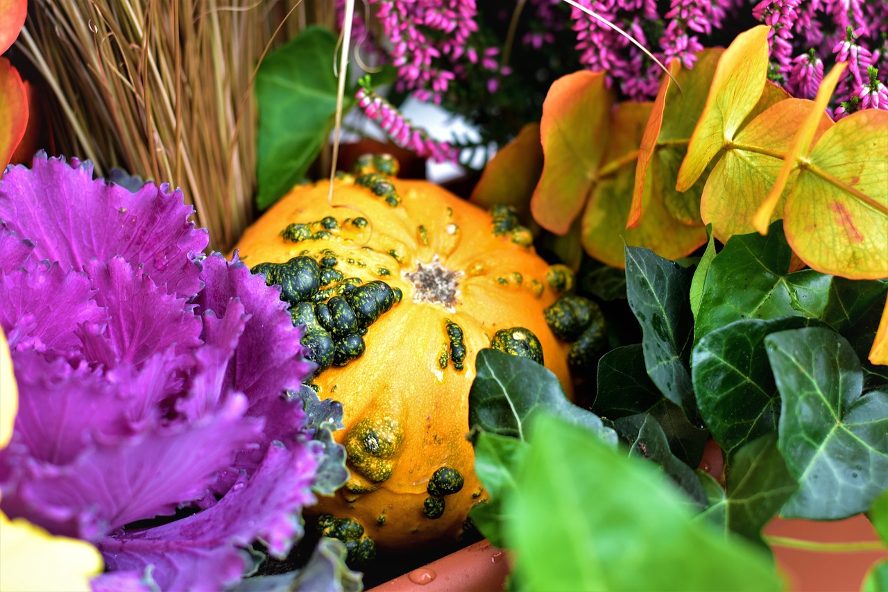 Image - autumn decoration gourd cabbage