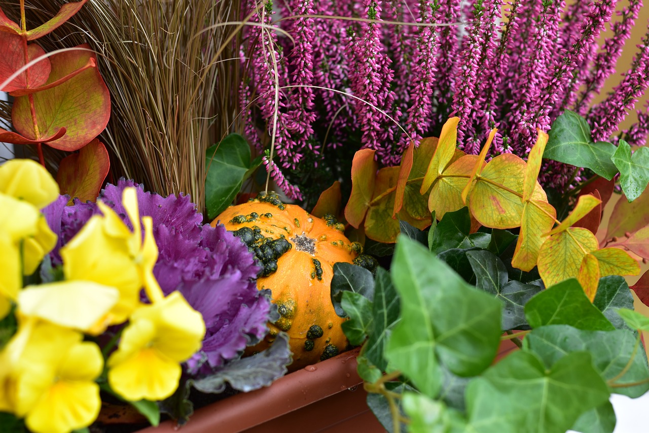 Image - autumn decoration gourd cabbage