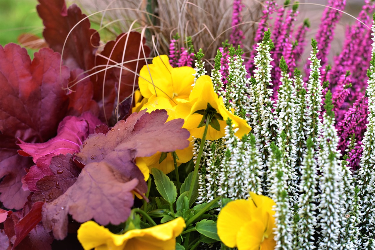 Image - autumn decoration heather pansy