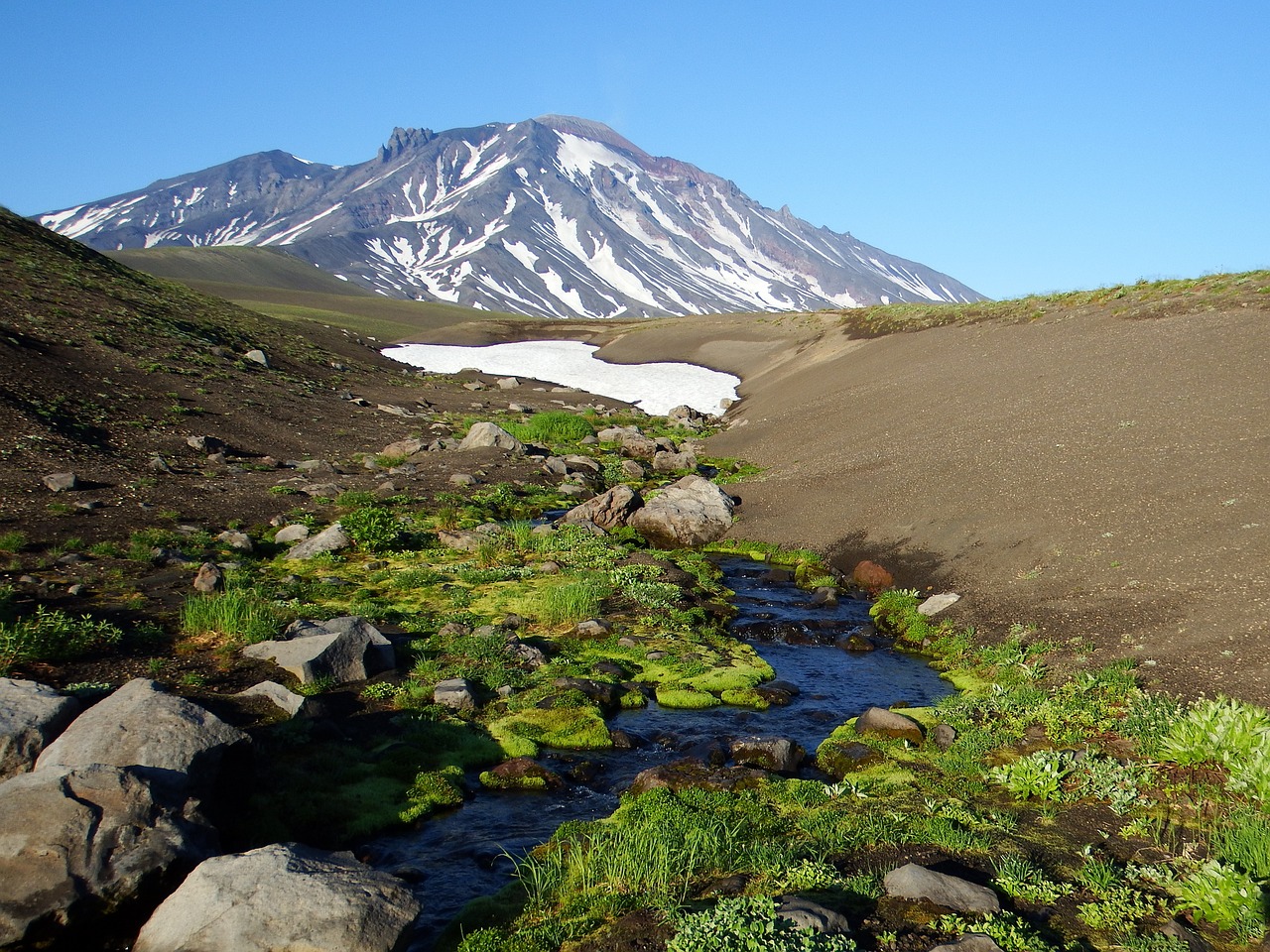 Image - volcano the foot flowers mountains