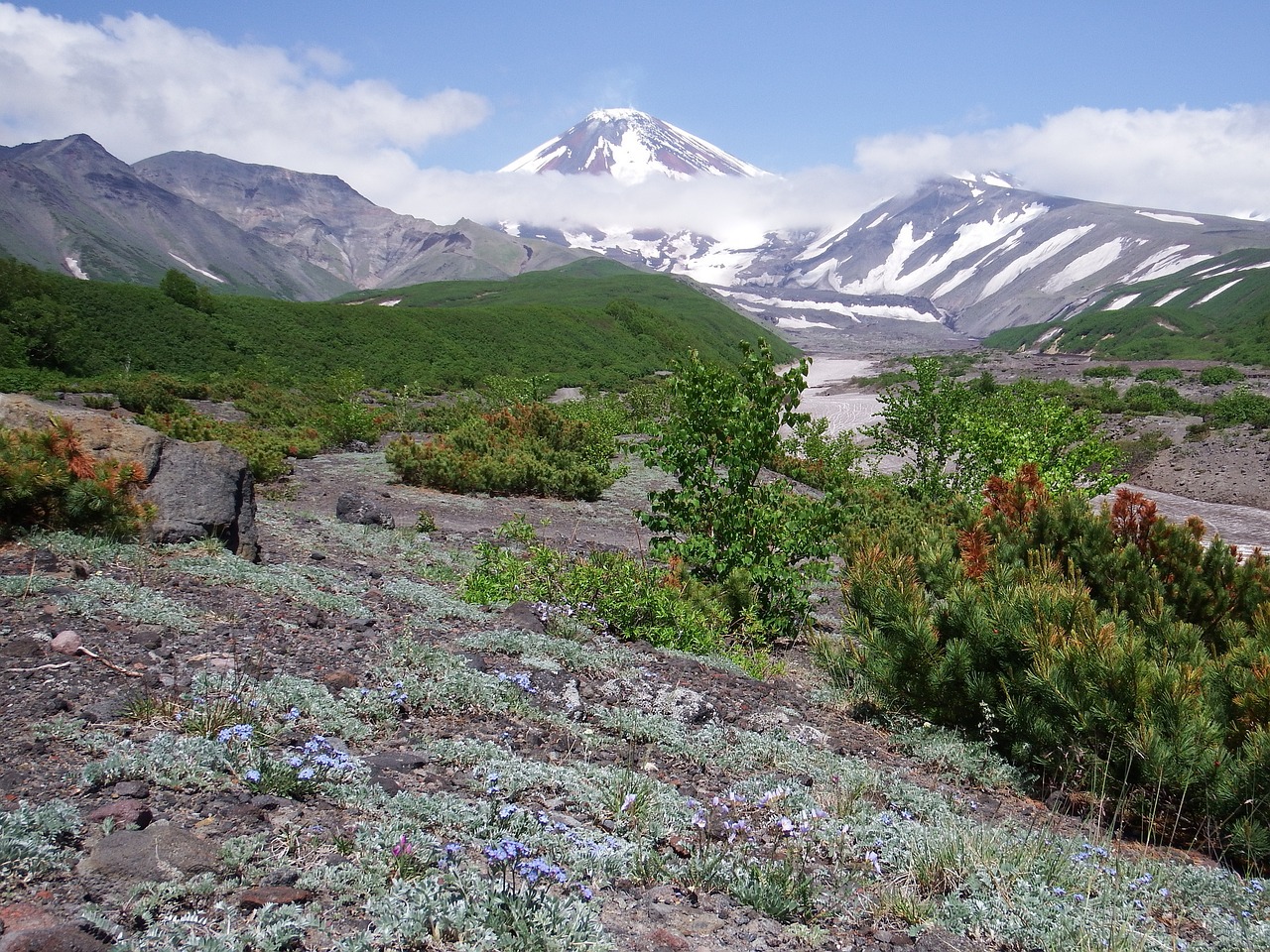 Image - volcano the foot flowers mountains