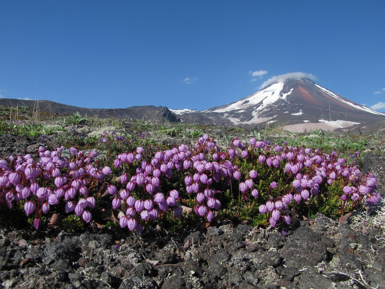 Image - the volcano avachinsky kamchatka
